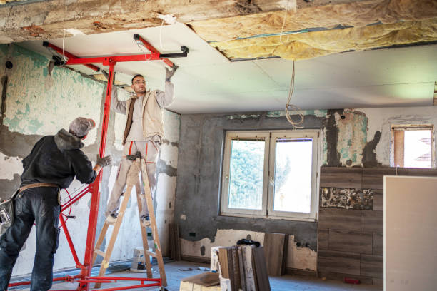 Best Commercial Insulation in Hays, NC